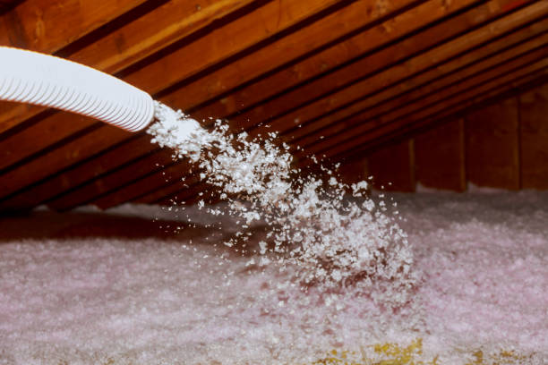 Best Blown-in Insulation in Sardis City, AL