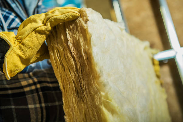 Professional Insulation Contractor in Sardis City, AL