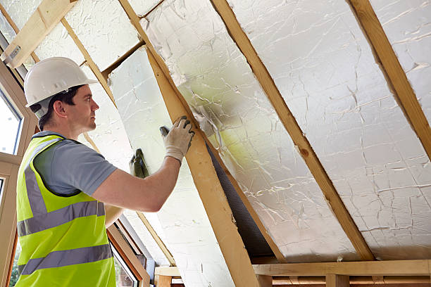 Best Spray Foam Insulation in Sardis City, AL
